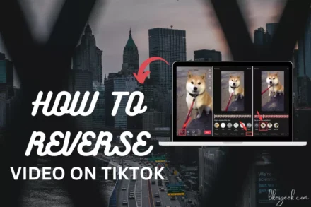 buy tiktok likes paypal