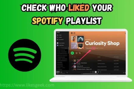 Check Who Liked Your Spotify Playlist
