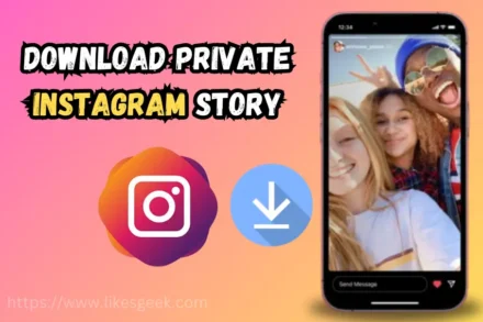 Download Private Instagram Story