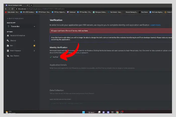 What is Verifying Member in Discord Server